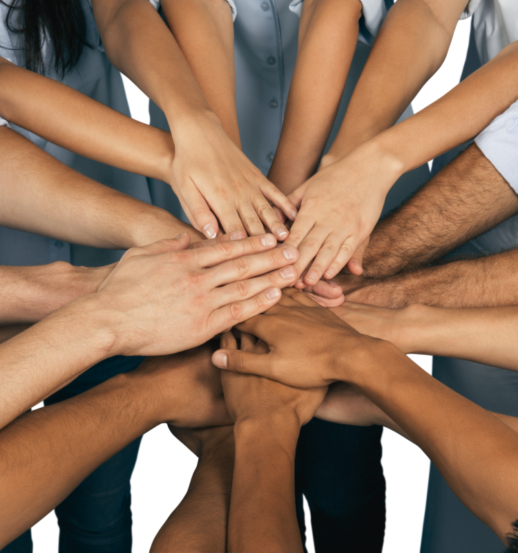 HR Consulting Services | Asteria HR Consultants